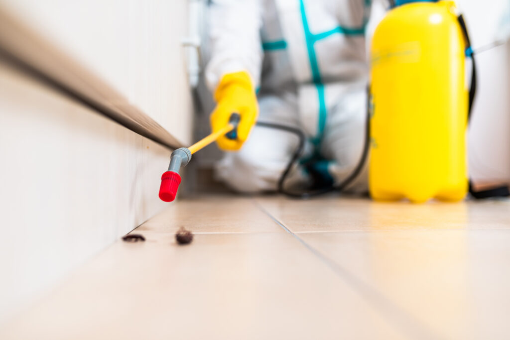 Petaluma Cockroach Experts