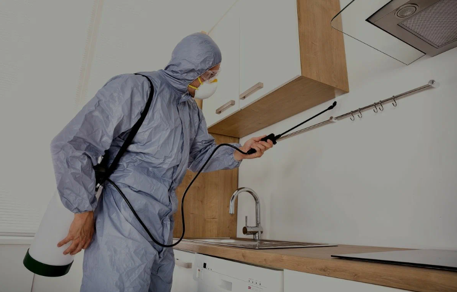 Petaluma pest managment