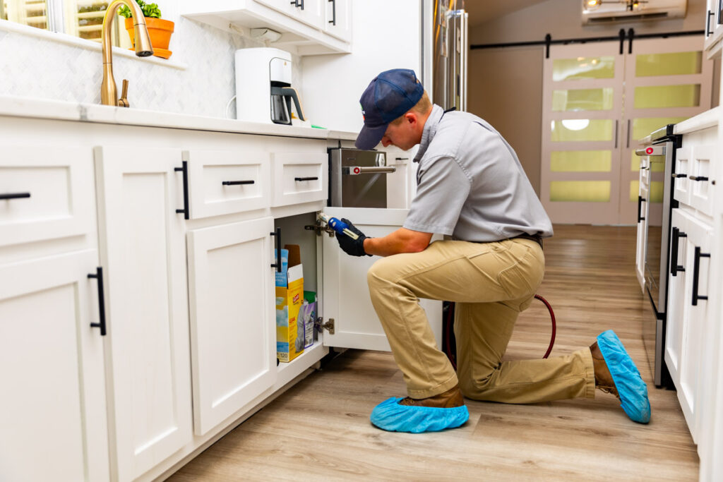 Petaluma xpert pest management